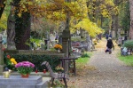 cmentarz rakowicki